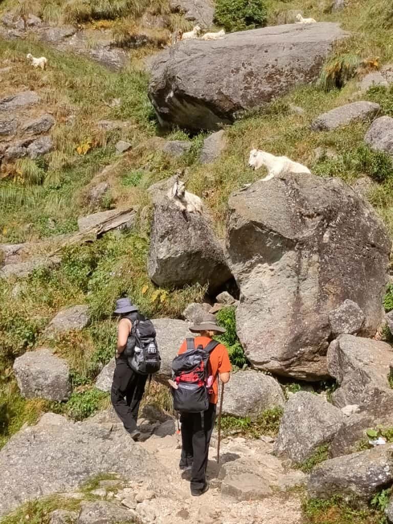 Snowline Laka Trek — photo 1