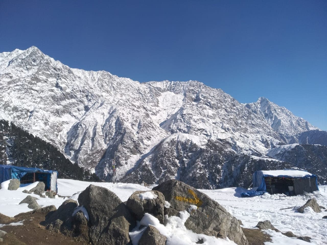 Day Hike to Triund – Best Short Trek in Dharamshala (2026 Guide)