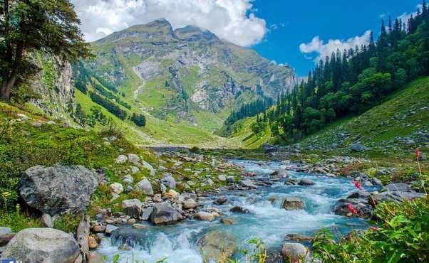Why Choose Jungle Camping in Dharamshala?