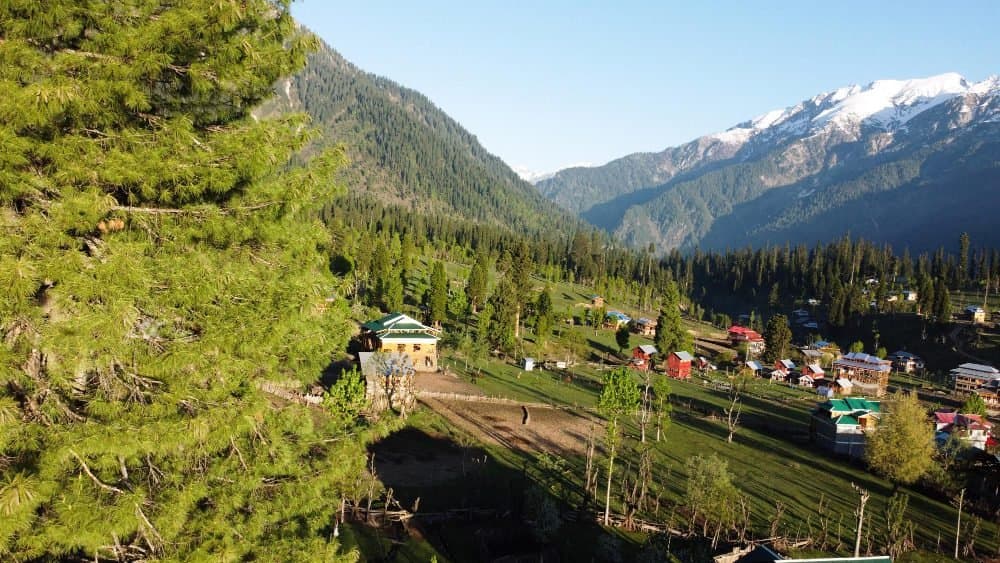 Exploring the Best Local Destinations in Dharamshala (Himachal Pradesh)