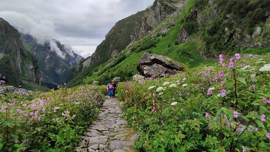 Manimahesh Trek