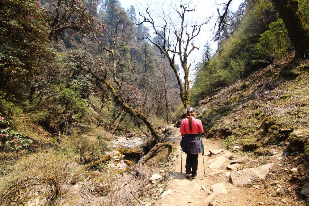 Is Gaj Pass Trek Open in June July 2026?