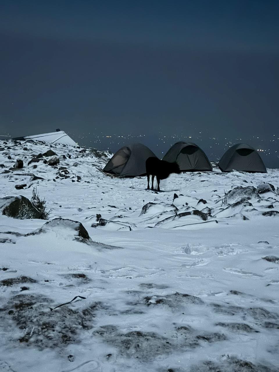 Triund Trek 2026 – Complete Guide, Route, Best Time, Distance & Local Insights