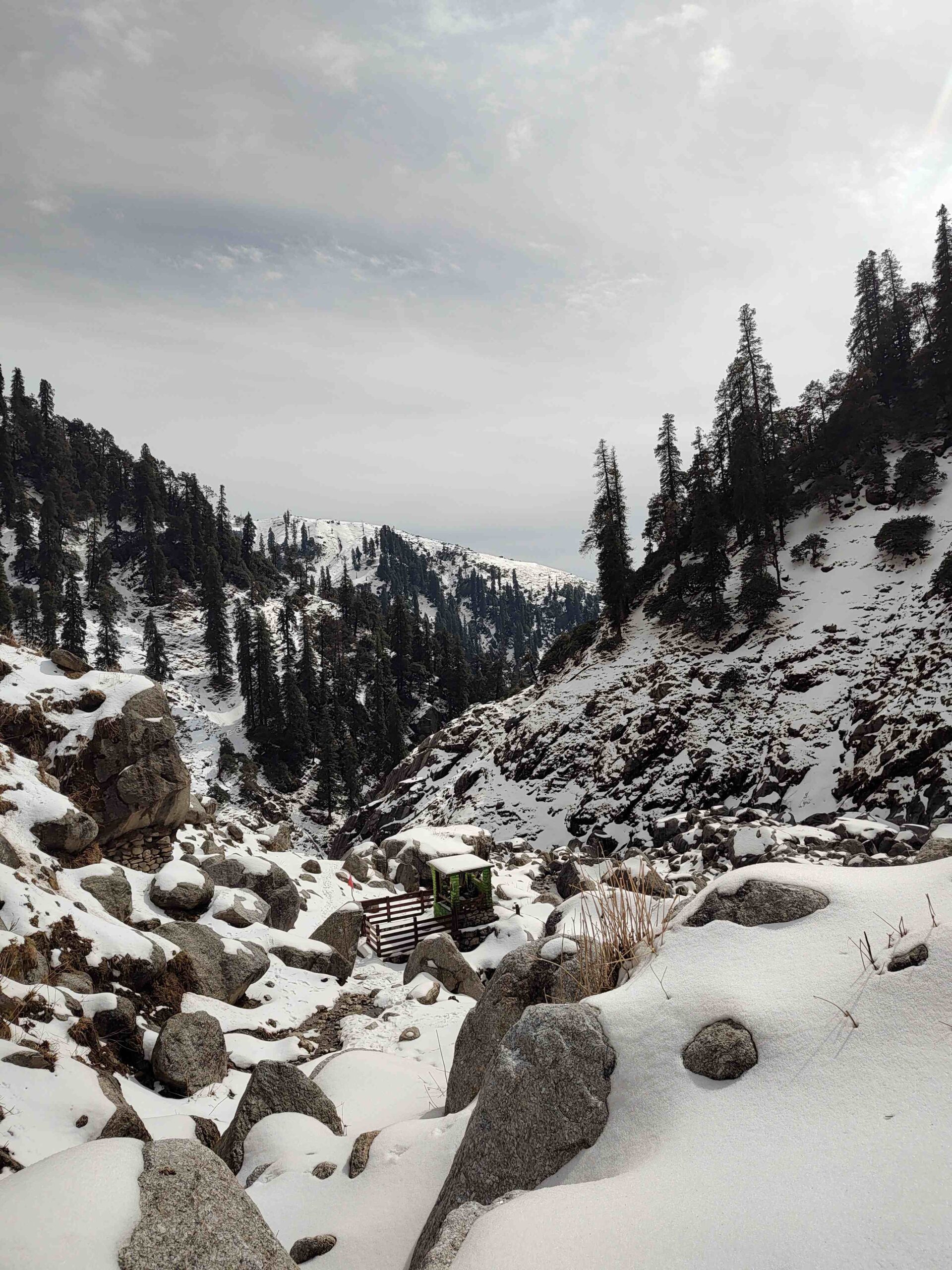 chobia pass trek - hill hikers