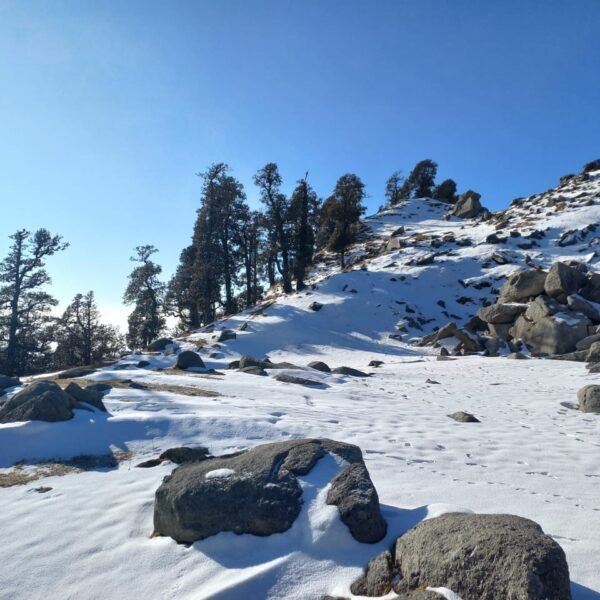 Snowline Trek Dharamshala Cost – Complete Guide, Itinerary & Budget 2026 1 Snowline Laka Trek