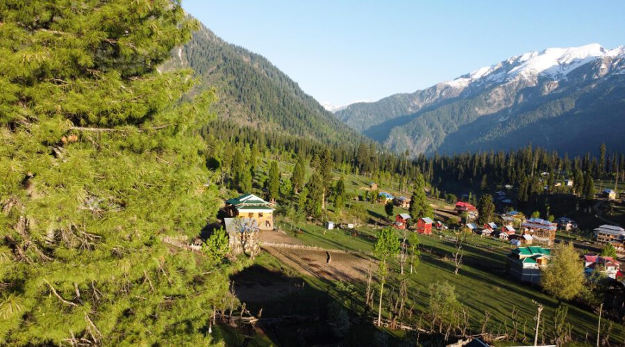 Exploring the Best Local Destinations in Dharamshala - Dharamshala Tour Package