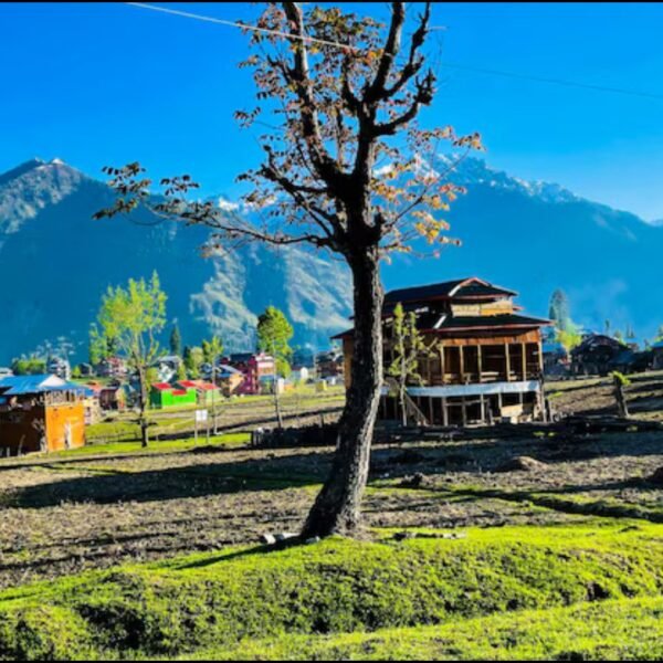 Summer Camping Spots Near Dharamshala