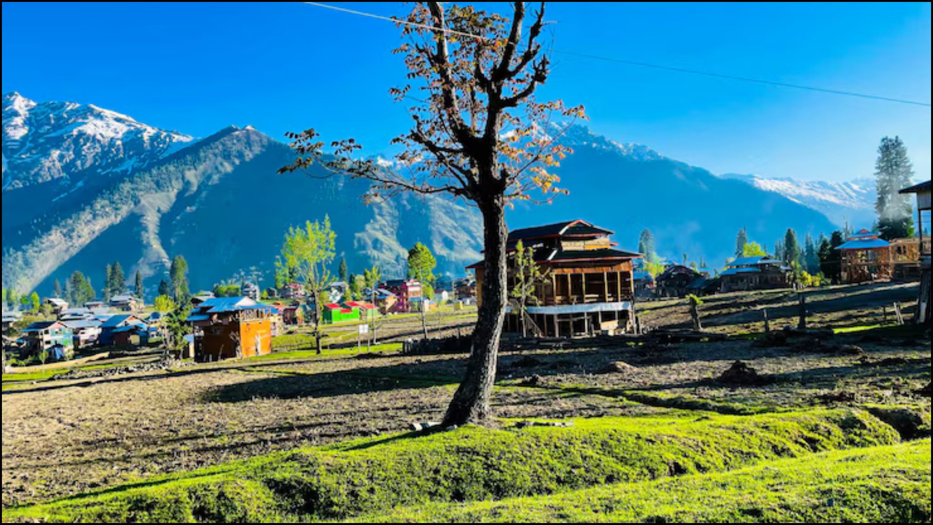 Summer Camping Spots Near Dharamshala