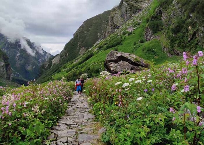 Valley of Flowers Trek