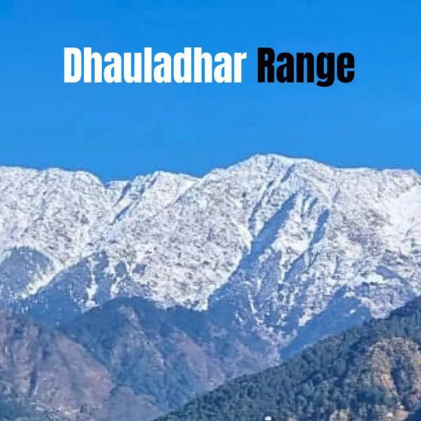 Discovering the Hidden Trails of Dharamshala with Hill Hikers 2 Dhauladhar range