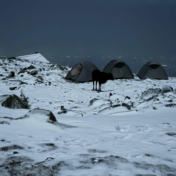 Triund Trek 2026 - Complete Guide, Route, Best Time, Distance & Local Insights 1 Triund trek 2026 snow fall pic