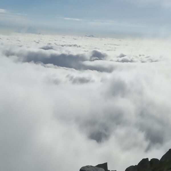 Dharamshala Tour Package from Delhi – A Valley Journey You’ll Never Forget