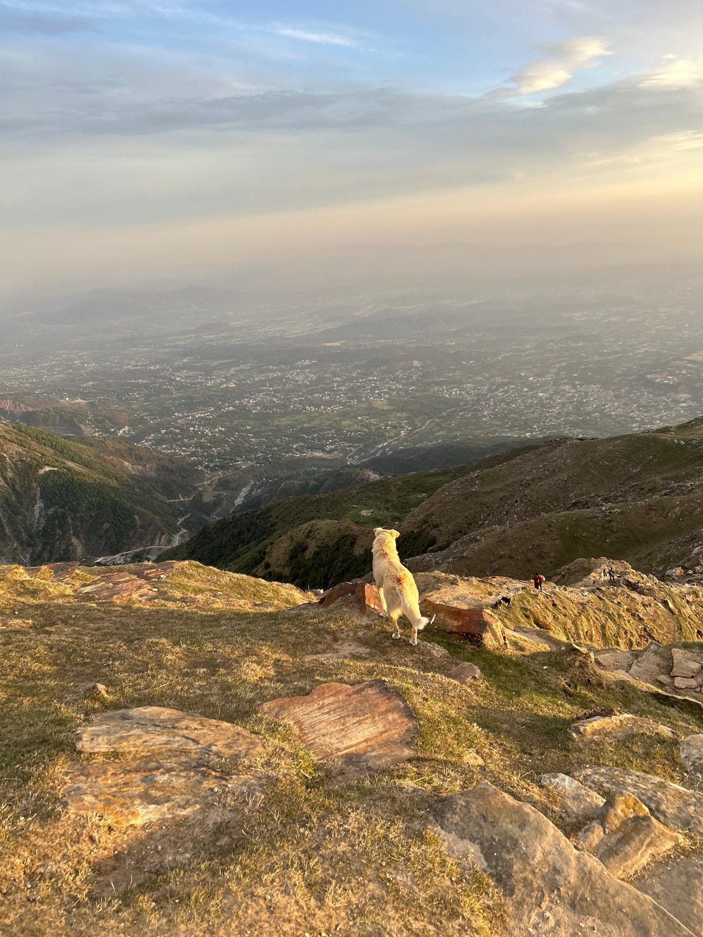 Triund Trek Package 2026 – Complete Guide, Price & Booking